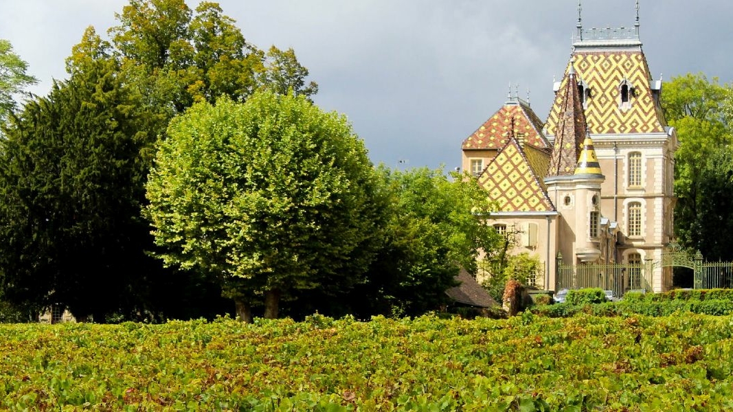 50 Chateau Corton C blogbanner foto