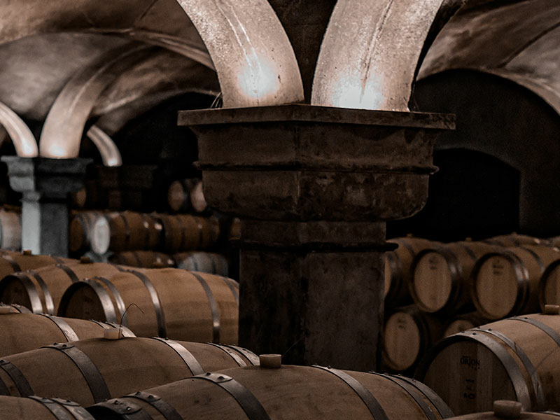 https://winelist.nl/media/cache/16x9_thumb/media/image/brand-banner/Banner-groot-Tignanello-winery.jpg