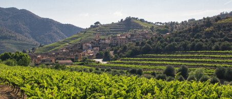 vall llach blogbanner 2